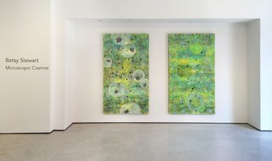 Betsy Stewart: Microscopic Cosmos, installation view
