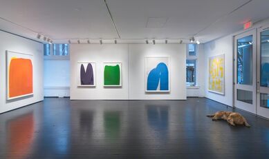 Storm Tharp, Ma'at Mons, installation view