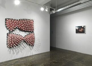 SINISTER FEMINISM - Curated by Piper Marshall with Lola Kramer, installation view