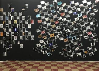 Nervously Engendered: The Art of Gerardo Velazquez, installation view