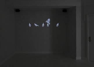 Eva Koch solo show 2017, installation view