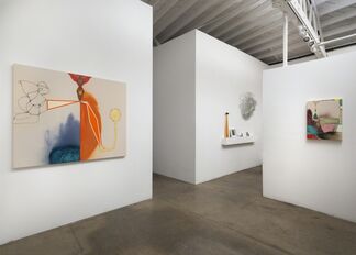 David Lloyd: New Paintings, installation view