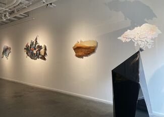 The Landscape I can't Unsee, installation view