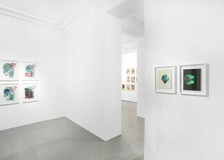 KATHARINA ALBERS - Lithographic Nature, installation view