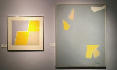 VISUALLY SPEAKING: COLOR & LIGHT, installation view