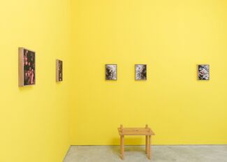 Forgetting the Words, installation view