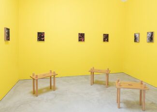 Forgetting the Words, installation view