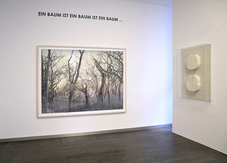 Ein Baum ist ein Baum ist ein Baum..., installation view