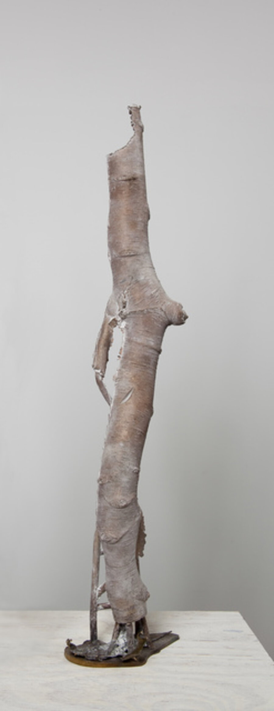 Weeping Birch