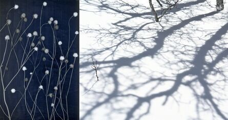 Brenda Biondo, ‘Winter Stems/Gambel Oaks’, 2012