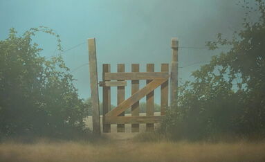 Johan Abeling, ‘Way Out’, 2022