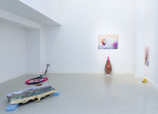 Cosmic Cry, installation view
