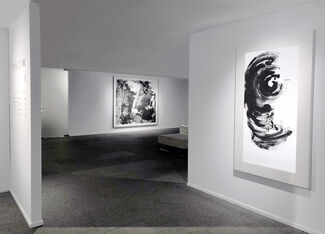 Forms of Ink, installation view