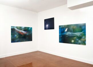 Pour the Sun Upon the Ground – September 7th – October 23rd, 2011, installation view