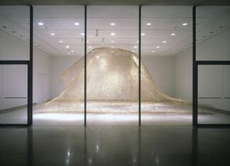 Ikasu, installation view