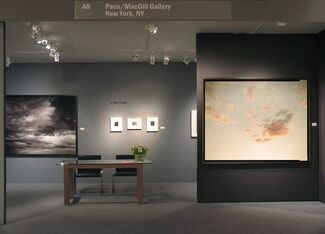 Pace/MacGill Gallery at ADAA The Art Show 2012, installation view