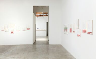 DANICA PHELPS: Many Drops Fill A Bucket, installation view