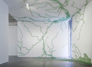 Maya Lin: Ebb and Flow, installation view