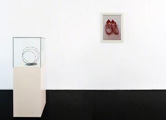 Urs Lüthi & Arnold Mario Dall‘O, installation view
