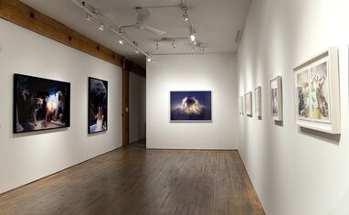 Dominique Paul: Unnatural Selections, installation view