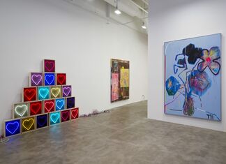 Thrush Holmes: All Lit Up On Wine, installation view