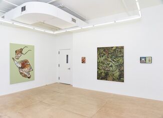 Stephanie Hier: Part and Parcel, installation view
