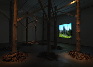 Andreas Greiner - Jungle Memory, installation view