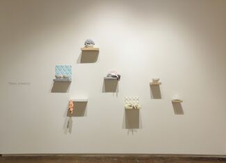 Lost Pollinators | Mia Brownell | A. Mary Kay | Kara Maria & In the Project Space: Tsehai Johnson | Mutability, installation view