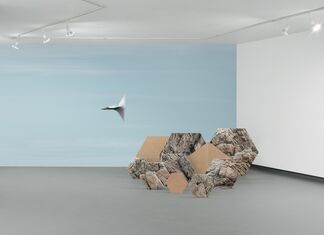 Landscape as a Brain, installation view