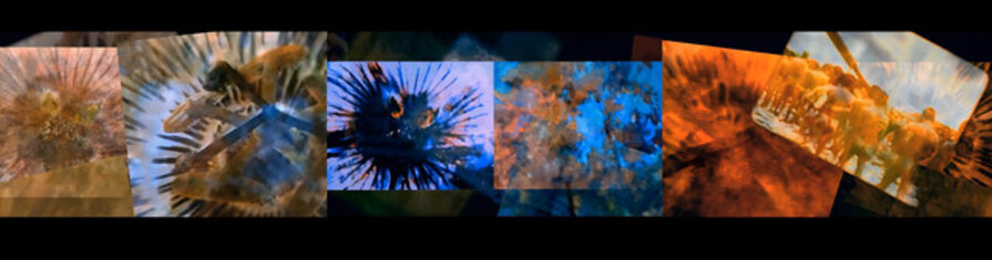 Finiti 1 (Film Still)