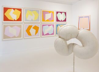Different Shapes, installation view