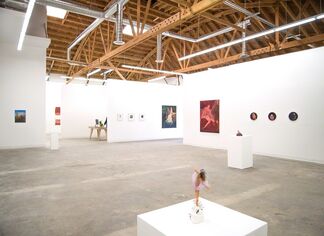 Laura Krifka: Reap the Whirlwind, installation view