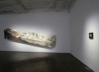 An Obscure Reply, installation view