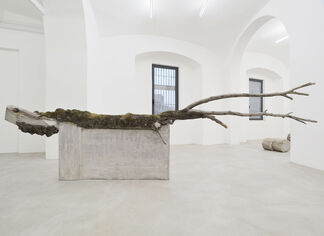 Stefano Canto - Carie, installation view