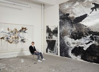 Shen Wei In Black, White and Gray, installation view
