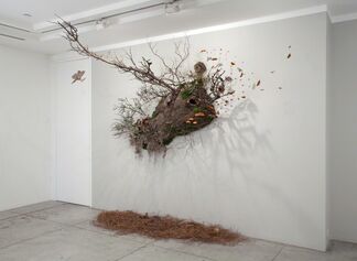 Kevin King: Fall of a Sparrow, installation view