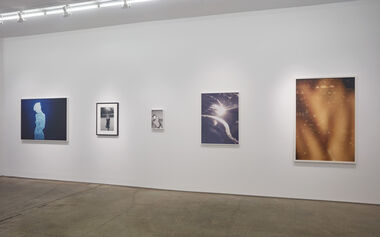 LUX: The Radiant Sea, installation view