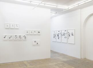 The Homeling, installation view