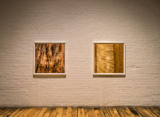 Williamson Chong, "Living Wood" and "On Architecture & Structure", installation view