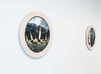 Michael Paul Miller: Wild Olympia, installation view