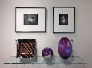 Dark into Light: Photographs by Paul Caponigro, installation view