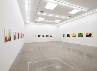 Andrew Masullo: Pretty Pictures and Other Disasters, installation view