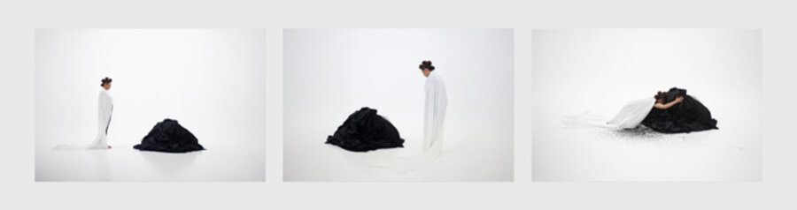 Heroines, Birds and Monsters Series, Triptych 4