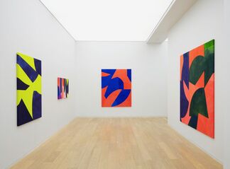 Sarah Crowner: Paintings For The Stage, installation view