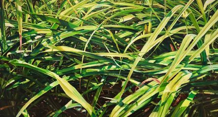 Ray Kleinlein, ‘Grass (for Walt Whitman)’, 2020