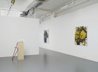 Elizabeth Neel: The People, the Park, the Ornament, installation view