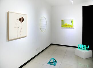 The Yellow Ones are Mine, installation view