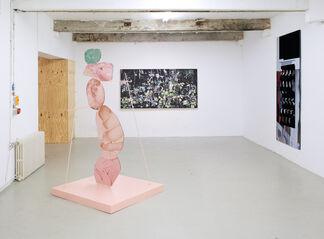 without Nature, installation view