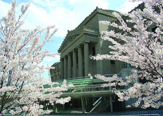 Brooklyn Museum