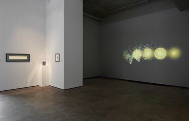 SELECTED, installation view